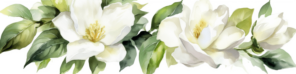 Gardénia blanc deuil