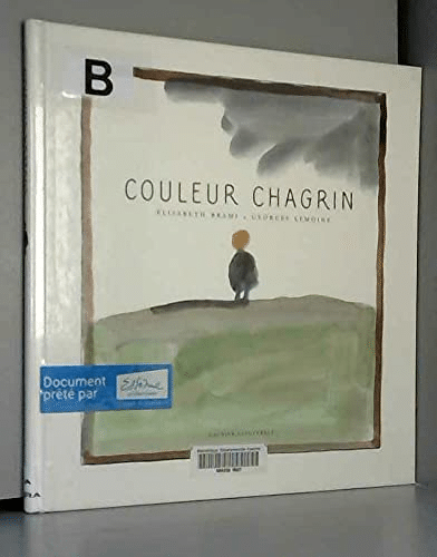 Couleur chagrin